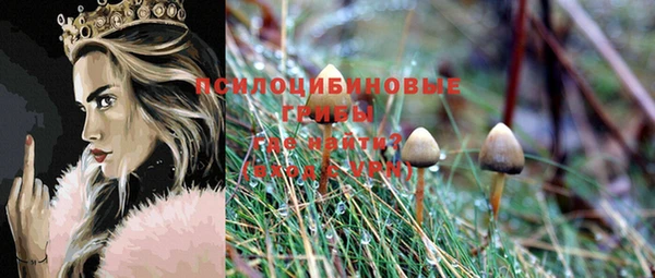 ECSTASY Абдулино