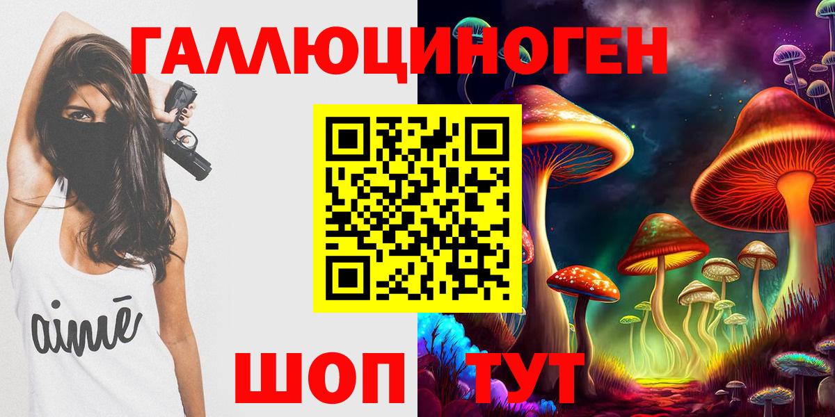Псилоцибиновые грибы Psilocybine cubensis Саратов