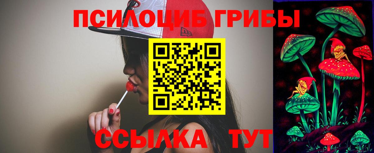 закладка  Псилоцибиновые грибы мухоморы  Вход с VPN  Саратов 